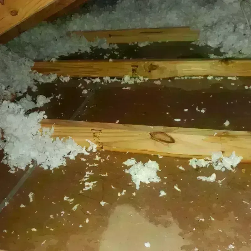 Attic Water Damage in Wylie, TX