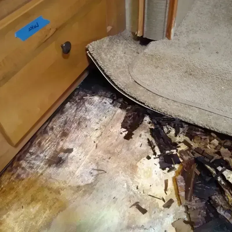 Wood Floor Water Damage in Wylie, TX